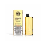INGOT 15000 (Blueberry Raspberry)