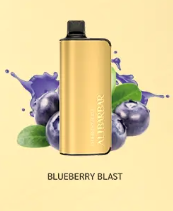 INGOT 9000 (Blueberry Blast)