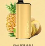 INGOT 9000 (Kiwi Pineapple)