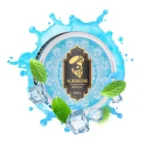 NICOTINE POUCHES (Mint Ice)