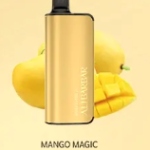 SWIRL 9000 Mango Magic