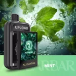UPLOAD 25000 PUFFS (Mint)